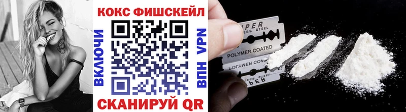 Кокаин FishScale  darknet наркотические препараты  Холм 