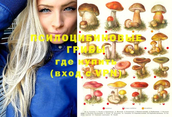 PSILOCYBIN Михайловск
