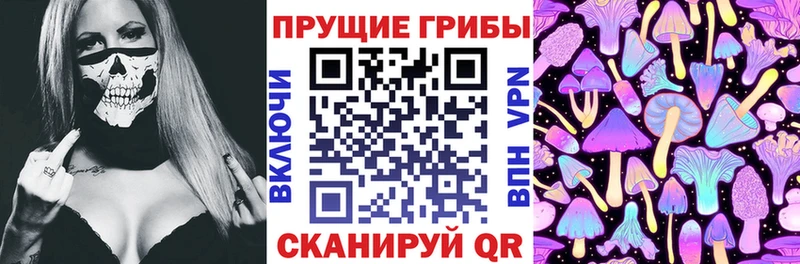 наркота  Холм  Псилоцибиновые грибы Cubensis 